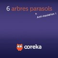 6 arbres parasols