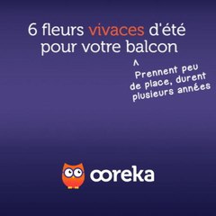 6 fleurs vivaces d'été pour votre balcon