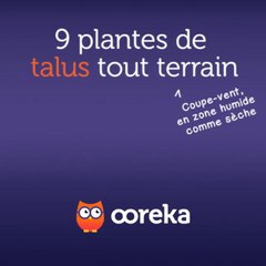 9 plantes de talus tout terrain