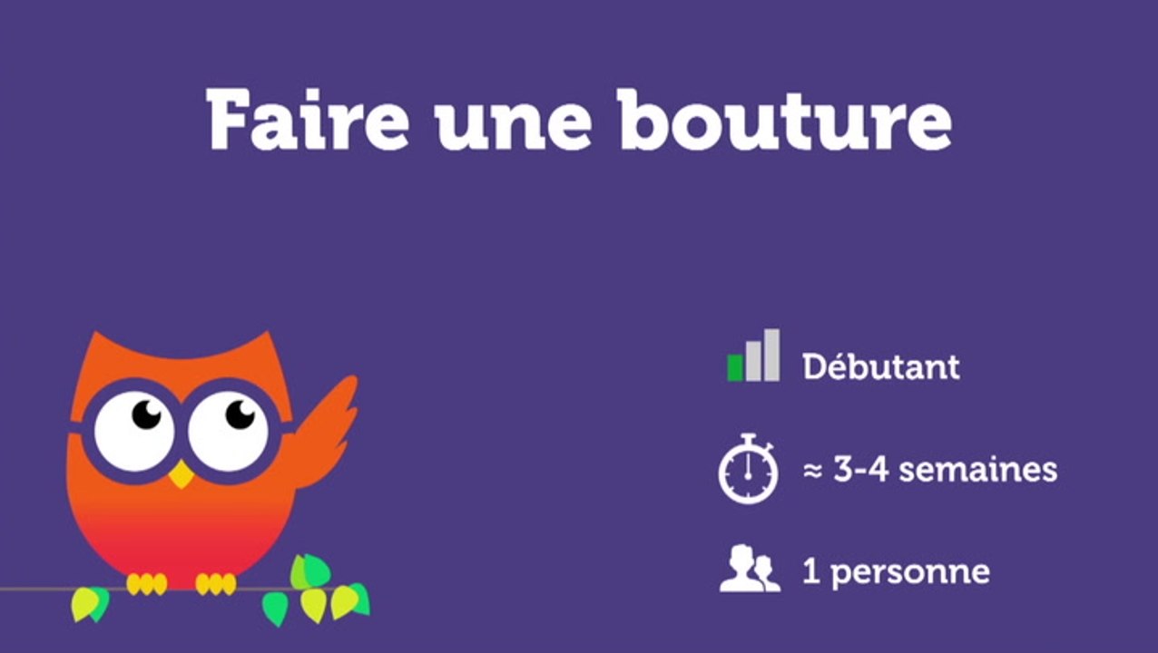 Faire une bouture