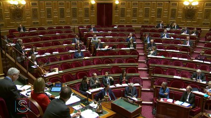 Débat au Sénat sur l'article 20 de la Loi d'orientation des mobilités - Séance publique du 26/03/2019