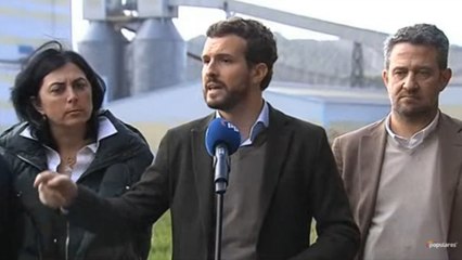 Casado apoyará a Sánchez si presenta decreto con un estatuto de electrointensivas