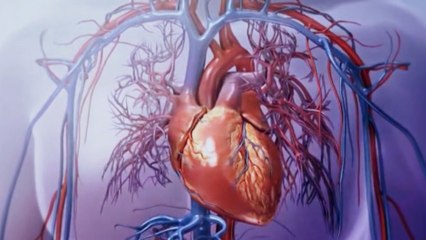 bd-cuidados-del-corazon-050320