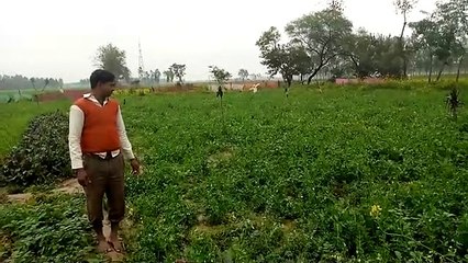 डीएम ने नुक्सान के आकलन के दिए निर्देश