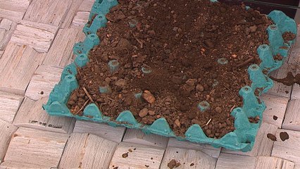 bd-huerta-urbana-050320