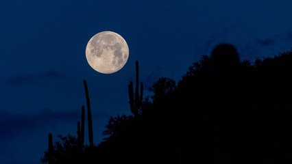 Une superbe « super lune » sera observable le 9 mars 2020 !