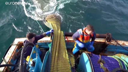 Les zones de pêche, un enjeu crucial au cœur des négociations entre la Grande-Bretagne et l'UE