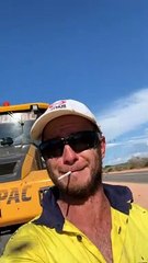 Infestation of Flies Get in Workers Way