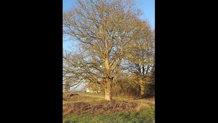 Petite vidéo rando galette st hilliers