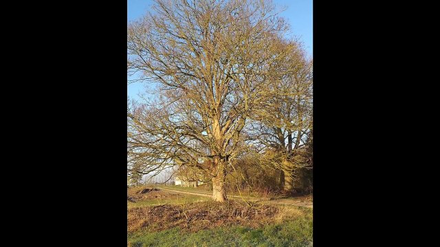 Petite vidéo rando galette st hilliers