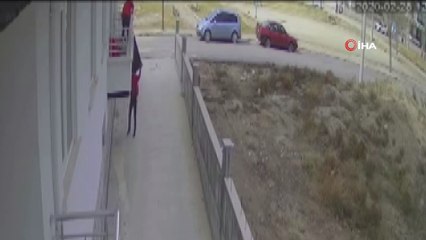 Televizyon hırsızları kamerada