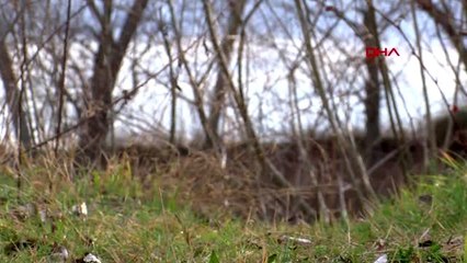 Edirne göçmenler sınıra akın ediyor - ek