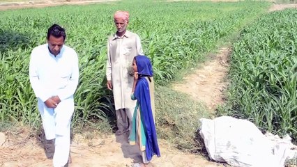 An old man seeks help to feed his Childrens ---A step to bring love and happiness--