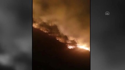 Orman yangınında 10 dönümlük alan zarar gördü