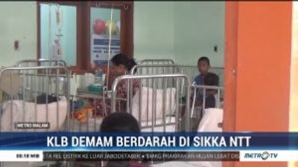 KLB Demam Berdarah di Sikka NTT