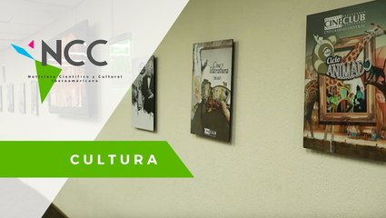  Realizan exposición de relatos de los excombatientes de la guerra en Colombia
