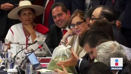 Aprueban comisiones del Senado uso lúdico de marihuana