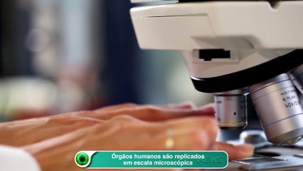 Órgãos humanos são replicados em escala microscópica