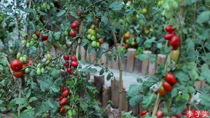 I have the fragrant and sweet lotus wine, do you have a story to share?（我这儿有清香甘甜的荷花酒，你有故事吗？）