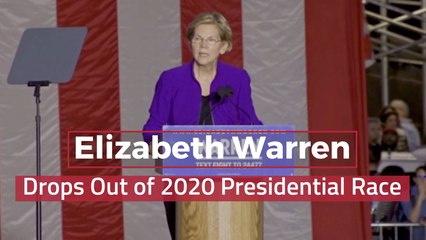 Elizabeth Warren Drops