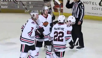 Game Recap - Wheeling Nailers at Indy Fuel