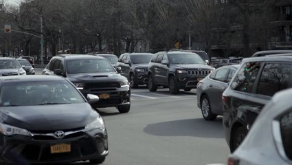 Cutting road transport pollution could help plants grow