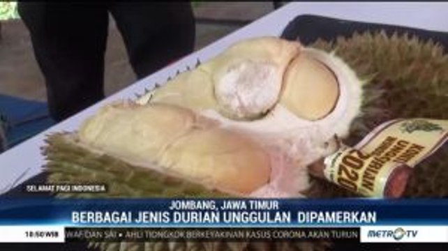 Kontes Durian Tradisi Kenduren Duren