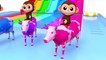 Learn Colors With Animal - Learn Colors with Soccer Ball Baby Monkey Finger Song for Kid Children