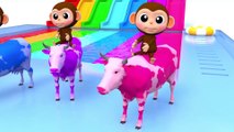 Learn Colors With Animal - Learn Colors with Soccer Ball Baby Monkey Finger Song for Kid Children