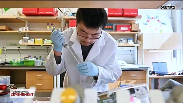 Virus - Mais où en sommes-nous vraiment dans la recherche du vaccin et comment travaillent les laboratoires pour aller vite ?