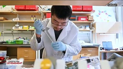 Virus - Mais où en sommes-nous vraiment dans la recherche du vaccin et comment travaillent les laboratoires pour aller vite ?