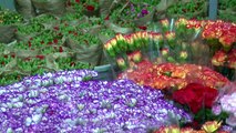 Antalya kesme çiçekte koronavirüs korkusu