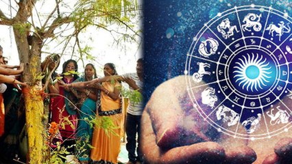 Amalaki Ekadashi 2020 : आमलकी एकादशी पर इन राशि के लोगों पर पड़ेगा असर | Boldsky