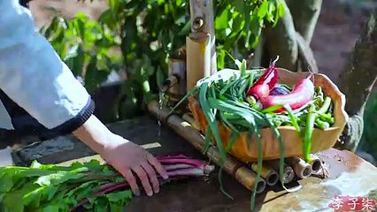 李子柒 - On a cold night with the first snow, cook a pot of chicken with firewood to get warm.初雪寒夜，煮上一锅热腾腾的川味柴火鸡暖暖身