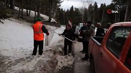 Uludağ\'da yaralanan tilkiye acil tedavi