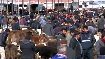 İç Anadolu'nun en büyük hayvan pazarına şap tedbiri