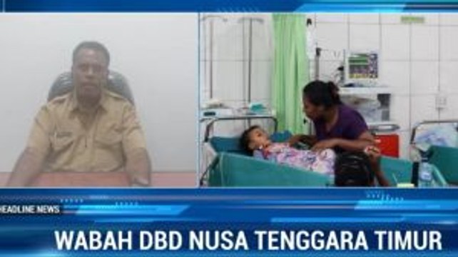 Korban Meninggal Dunia Akibat DBD di Sikka Bertambah Jadi 13 Orang