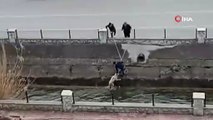 Su kanalına düşen köpeği vatandaşlar kurtardı