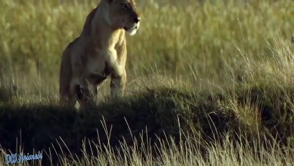 미니선물사이트 KU15.CC - 동영상