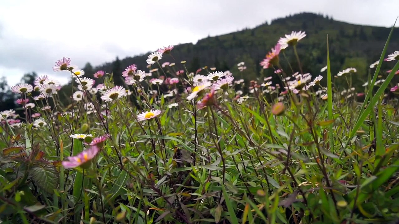 Les Açores : séjours de randonnée et voyages au Portugal