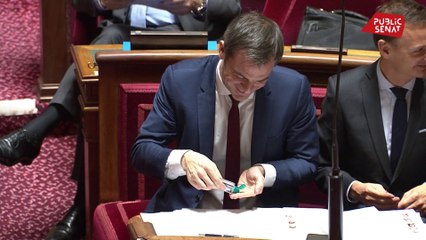 "Monsieur le ministre, prenez soin de vous !" recommande la sénatrice Laurence Rossignol à Olivier Véran , le ministre de la Santé