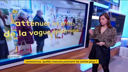 Covid-19 : comment se protègent les différents pays menacés ?