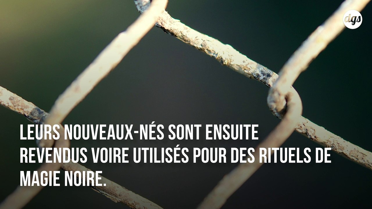 Nigeria : l'enfer de ces femmes violées et exploitées dans des "usines à bébés"