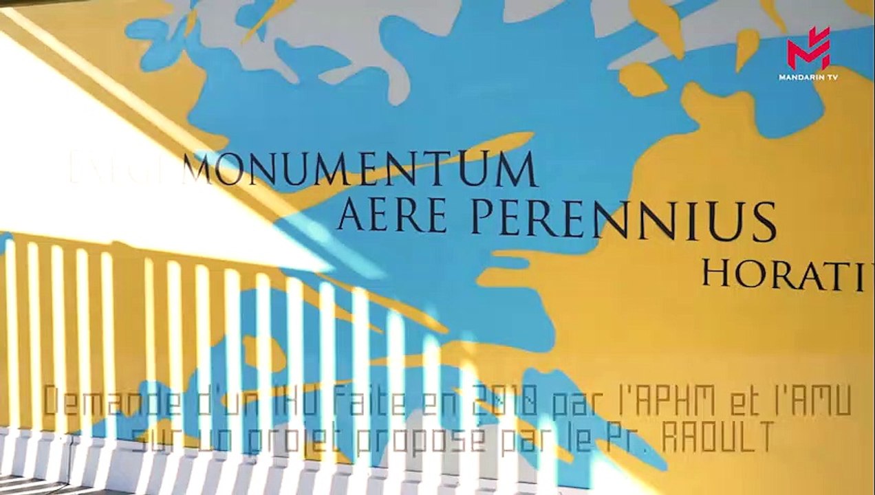 Le Pr. Didier RAOULT de l'IHU : la chloroquine un traitement contre le coronavirus ?
