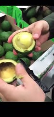 De la drogue dissimulée dans des fruits