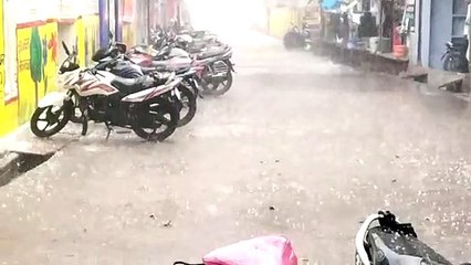 ठंडी हवाओं के साथ पानी और ओलो से अन्नदाता चिंतित