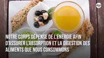 Privilégier un petit-déjeuner copieux plutôt qu'un dîner calorique permettrait de prévenir l’obésité