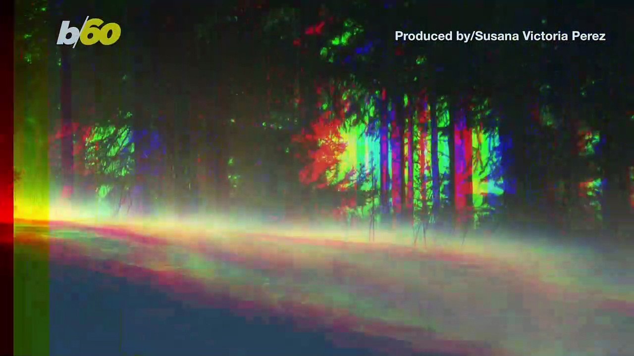 Incredible Photos Show Houses in New York Covered in Ice