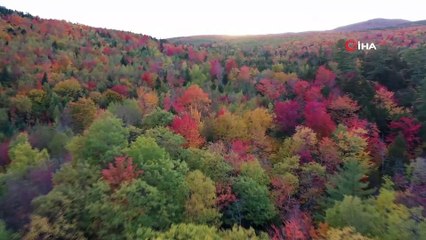 Doç. Dr. Çelik'ten, bahar sendromuna girerek yalnız kalmayı tercih eden vatandaşlara uyarı