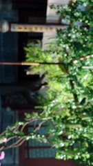 Quyền Lực Vương Triều Tập 20 - HTV7 Lồng Tiếng Thuyết Minh - Phim Trung Quốc